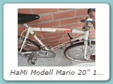 HaMi Modell Mario 20" 1973
Das wohl kleinste Rennrad der Welt, aber auf jeden Fall das Kleinste, das jemals die HaMi Produktion verlassen hat.
Eigentümer: Johannes Mittendorf, Uetersen