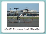 HaMi Professinal Straßenrennrad aus dem Jahr 1978.
Rahmen galvanisch vergoldet, Ausstattung Shimano Dura Ace schwarz
Dieser Rad wurde auf der IFMA 1978 präsentiert.
Eigentümer: Reiner F. Balke, Berlin (Erstbesitzer)